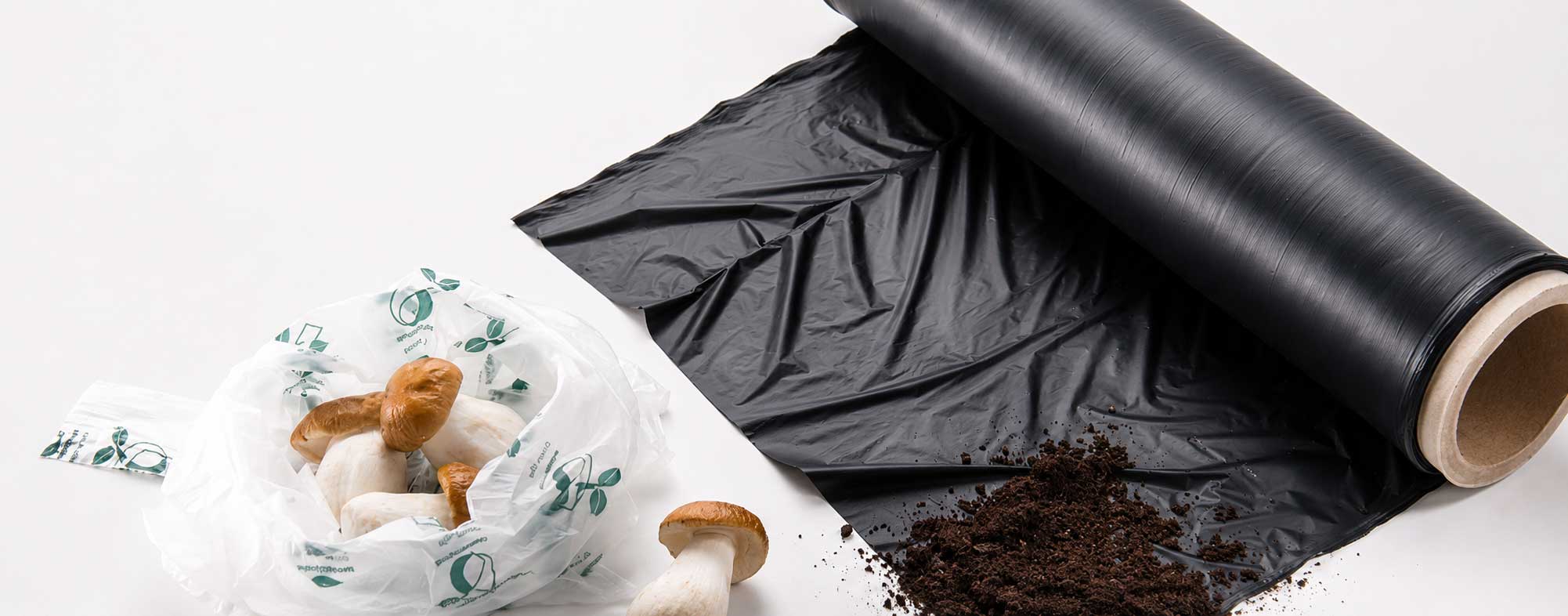 Bio-plastics